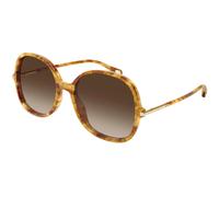 Chloé Woman Chloé CH0383S 002 Sunglasses Acetate Havana Brown Round