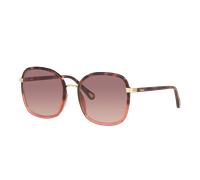 Chloé Woman Sunglass CH0031S - Frame color: Tortoise, Lens color: Red Gradient