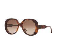 Chloé Woman Sunglass CH0195S - Frame color: Tortoise, Lens color: Brown
