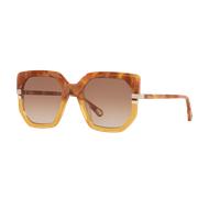 Chloé Woman Sunglass CH0240S - Frame color: Brown, Lens color: Brown