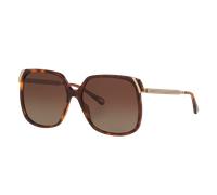 Chloé Woman Sunglass CH0286S - Frame color: Tortoise, Lens color: Brown Gradient