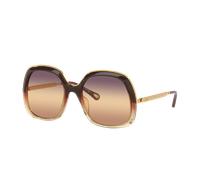 Chloé Woman Sunglass CH0327S - Frame color: Brown, Lens color: Pink Gradient