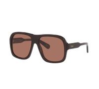 Chloé Woman Sunglass CH0331S - Frame color: Tortoise, Lens color: Brown
