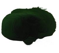 Chlorella Powder Organic, Premium Quality, Free P&P to The UK (450g)