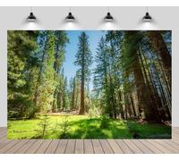 CHNYWORK 5x4ft Sequoia National Park Backdrop Redwoods Woods Green Meadow Green Forest Sunny Scenery Background America Summer Travel Hiking Camp Natural Party Decor Portrait Photo Booth Props
