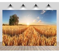 CHNYWORK 7x5ft Autumn Wheat Field Backdrop Wheat Field Fall Harvest Farmland Sunset Thanksgiving Wheat Background Golden Autumn Countryside Birthday Wedding Party Decor Portrait Photo Booth Props