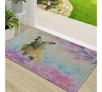 CHOAST Door Mat,Non-slip Barrier Mats for Indoor and Outdoor,Hare on The Sp Meadow Create with s Acrylic Adorable Animal Art Artistic,Absorbent Entrance Rug Machine Washable Floor Mat Carpet 50x80cm