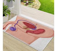 CHOAST Door Mat,Non-slip Barrier Mats for Indoor and Outdoor,Reproductive Prostate Gland in Male Human System Diag Penis,Absorbent Entrance Rug Machine Washable Floor Mat Carpet 50x80cm
