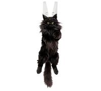 CHOBYNER Ragdoll Cat Backpack-F, Mainecoon Cat-black, M, Mainecoon Cat-black