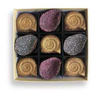 Choc On Choc Chocolate Fossils And Amethyst Chocolate One Size