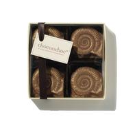 Choc On Choc Chocolate Fossils Chocolate One Size