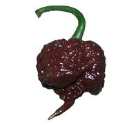 Chocolate Carolina Reaper HP22B Pepper Premium Seeds for Planting Packet Record Hottest in The World + More