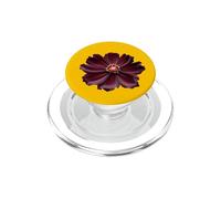 Chocolate Cosmos Flower PopSockets PopGrip for MagSafe