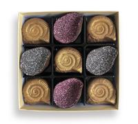 Chocolate Fossils And Amethyst Choc on Choc Chocolate One Size