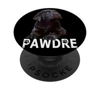 Chocolate Lab Dad The Lab Father Labrador Retriever Puppy PopSockets Adhesive PopGrip