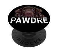 Chocolate Lab Dad The Lab Father Labrador Retriever Puppy PopSockets Adhesive PopGrip
