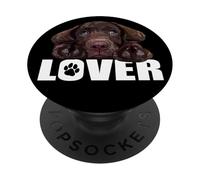 Chocolate Lab Dog Brown Lab Labrador Retriever Puppy Dog PopSockets Adhesive PopGrip