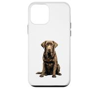Chocolate Lab Dog Chocolate Labrador Retriever Case for iPhone 12 mini