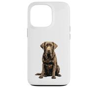 Chocolate Lab Dog Chocolate Labrador Retriever Case for iPhone 13 Pro