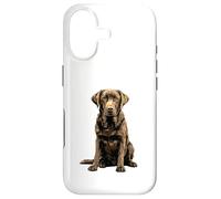 Chocolate Lab Dog Chocolate Labrador Retriever Case for iPhone 17