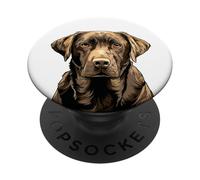 Chocolate Lab Dog Chocolate Labrador Retriever PopSockets Adhesive PopGrip