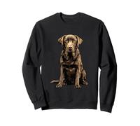 Chocolate Lab Dog Chocolate Labrador Retriever Sweatshirt