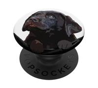 Chocolate Lab Dog In Pocket Brown Labrador Retriever Puppy PopSockets Adhesive PopGrip