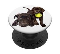 Chocolate Lab Dog The Dog Father The Lab Father Lab Mom PopSockets Adhesive PopGrip