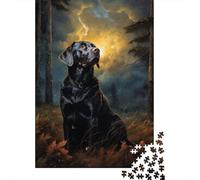 Chocolate Labrador at Nigh 1000 Piece Jigsaw Puzzle, Pet Lover Challenge for Quiet Evenings 38x26cm/1000pcs