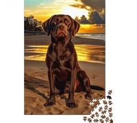 Chocolate Labrador at Sunset 1000 Piece Jigsaw Puzzle for Adults, Animal Lover Design for Home Leisure 52x38cm/1000pcs