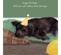 Chocolate Labrador Birthday Card