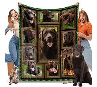 Chocolate Labrador Blanket for Women Men, Chocolate Labrador Gifts for Dog Lover, Soft Cozy Lightweight Warm Flannel Blankets and Throws for Sofa Living Room Decor, 60" x 80" Twin Size