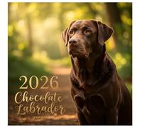 Chocolate Labrador Calendar 2026: 12 Months of Joyful Puppies in Vivid Realism 8.5 x 8.5" Monthly Photo Planner