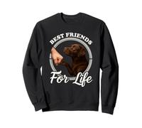 Chocolate Labrador Dog Lover Design Beautiful Chocolate Lab Sweatshirt