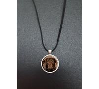 Chocolate Labrador Pendant On a 18" Black Cord Necklace With Lobster Clasp Fastener Ideal Birthday Gift N102