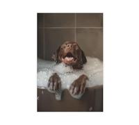 Chocolate Labrador Retriever Bathroom Art (2) Canvas Poster Bedroom Decor Landscape Office Room Decor Gift 20x30inch(50x75cm)