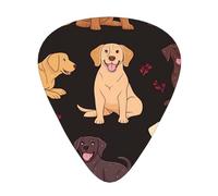 Chocolate Labrador Retriever Dog Guitar Picks Gift Set - Smooth Durable Plectrums For Acoustic, Electric & Bass Guitar, Perfect Present For Guitar Lovers & Musicians