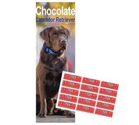 Chocolate Labrador Slim Calendar 2026 | Dog Breed Chocolate Lab Slimline Calendar | 12 Month Wall Calendar | With Free Organisational Stickers, Chocolate Labrador Gift