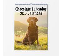 Chocolate Labrador Wall Calendar - Choice Of Sizes - A3 Dog Calendar - Dog Lovers Monthly Planner 2026