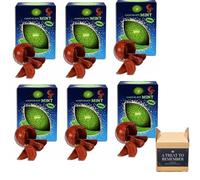 Chocolate Mint 145g - Pack of 6