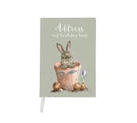 Wrendale Designs by Hannah Dale - The Flower Pot Illustrated Birthday & Address Book - 168mm x 118mm