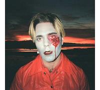 CHOIR BOY - GATHERING SWANS [VINYL]