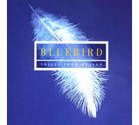 Choir of New College Oxford/Edward Higginbottom - Bluebird - Music of Contemplation