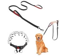Choke Chain for Dogs Metal Dog Training Collar with Detachable Lead Adjustable Anti Bark Collars for Medium Small Dogs Outdoor Trainings (3.5mm x 55cm + Lead)