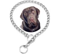 Choke Dog Chain Collars, Silver XXS Metal Slip Link Training Heavy Duty Dog Choker Collar Martingale Puppy Collars For XXS XS Small Medium Large Big XL Breed Dogs