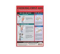 Choking First Aid Wall Chart - Easy Step by Step Poster for Adults Infants Pregnant Women - First Aid Kit Companion Canvas Print Home Decor(Unframed,16x24inch(40x60cm))