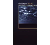 Cholet Känzig Papaux Trio - Under the Whale