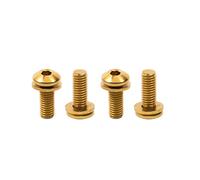 Chooee Water Bottle Cage Bolts M5 x 12mm, 4pcs Water Bottle Holder Screws for MTB,Mountain Bike,Road Bicycle, Gold