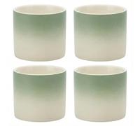 chooguang Ceramic Espresso Cups Small Modern Coffee Cup Thick Walled, Handleless, Durable, Dishwasher & Microwave Safe Set of 4, 3oz Tea cups Light green with white
