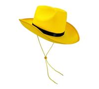 Choomomo Adult Men Suede Cowboy Hat Wide Brim Cap for Party Role Play Performance Accessory Type A One Size